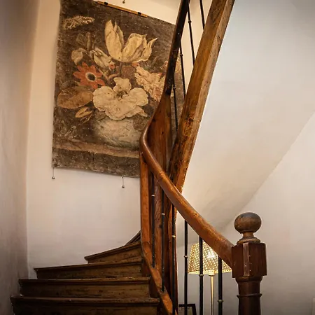 Epicerie * Carcassonne